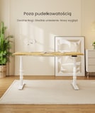 Biurko z regulacją wysokości E8 | FlexiSpot PL