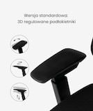 Krzesło Biurkowe Ergonomiczne BS12-PRO | FlexiSpot PL