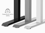 FlexiSpot Scrivania E3L