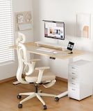 Colorful and Fresh Design Ergonomic Office Chair BS5 | FlexiSpot