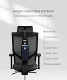 Ergonomic Dynamic Support Chair BS6 | FlexiSpot