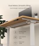 FlexiSpot standing desk E5, with a 60-125cm height range.