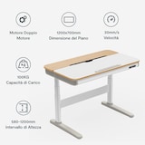 FlexiSpot SD8