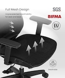 Ergonomic Full Mesh Office Chair BS4 | FlexiSpot