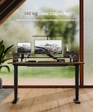 FlexiSpot standing desk E5, with a 60-125cm height range.