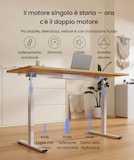 FlexiSpot Scrivania Regolabile in Altezza EG1/ EF1