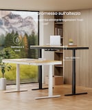 FlexiSpot Scrivania Q8