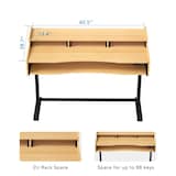 FlexiSpot studio standing desk ESD1, with a 72.5-122.5cm height range.