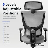 FlexiSpot office chair BS8,with a 119-128cm height range.