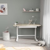 FlexiSpot kid's desk SD2, with a 112*60cm desktop.